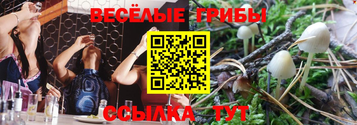Скопин  Галлюциногенные грибы ЛСД  Вход с VPN 